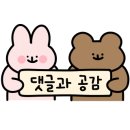 79치킨춘천 이미지