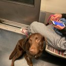 (주)모노프리 이미지