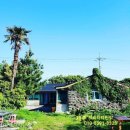 제주민박프리타타 이미지