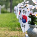 삼복이밀면 이미지