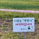 다맛정식 | 여기는 ‘무말콩’ 서식지