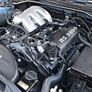 탑기어모터스 이미지