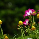 환희어린이집 이미지