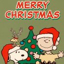 한광여자고등학교 이미지