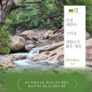 대원사계곡 | 주차·계곡 위치까지 총정리! 산청 대원사 계곡 알짜 여행팁