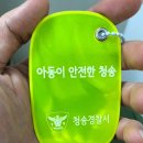 청송초등학교 | [옐로카드] 청송경찰서, 어린이 교통안전 지킴이 옐로카드 후기