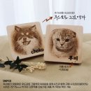 무드셀라엄