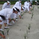 남도노동요 이미지