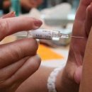 백신 접종률 급락 속 독감 사망자 수 코로나19 사망자 수 추월 (독감백신 접종자들???) 이미지