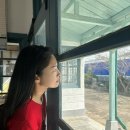 백마 골프연습장(실내) 이미지