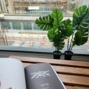 데바_K | [헤르만 헤세] 스스로 깨어라, 수레바퀴 아래서, 데미안, 싯다르타, 스타북스