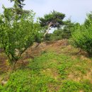 우리부동산공인중개사 이미지