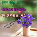 들풀농장 이미지