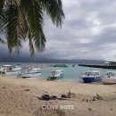 (주)아이보트 이미지