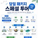 풀등유선