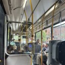 에스바(S bar) | [SYD]#2. 시드니 타롱가주 입장권/ 바 또띠 Bar Totti's 워크인 후기