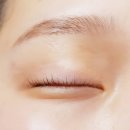 엘속눈썹 이미지