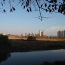 노작공원(오산천변) 이미지