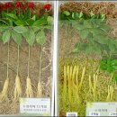 수경유통 이미지