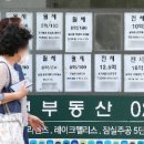 한팀공인중개사사무소 이미지