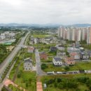 공공대전지사
