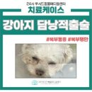 성신동물병원 이미지