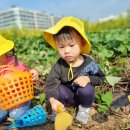 재훈농장 이미지