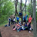 유림초교 이미지