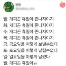 7월보내주기(토익, 일상, 부산)