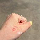 주교포차 | [되돌아보기] 잘가 스무 살아