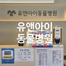 경상국립대학교 동물의료원 | 우리 아이 주치의는 여기! 믿고 가는 [마산 유앤아이 동물병원] 솔직 방문기 🐾💖