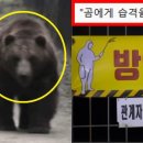 곰농장 네이버블로그