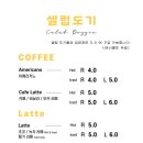 셀럽도기 이미지