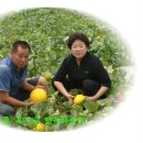 영희농장 이미지