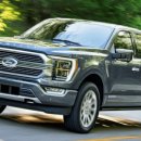 유로모터스(EURO MOTORS) | [전기차] (1) 포드의 전기차 철수: 전기차의 미래는 어디로 가고 있는가