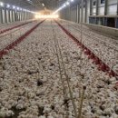 문기농장 이미지