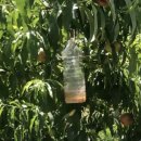 오뚜기농장 이미지