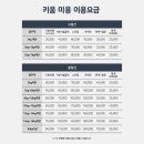 신정애견미용 이미지