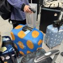 877 | [코펜하겐] EP1. 인천-코펜하겐(베이징 경유) / 에어차이나 CA710 / CA877 탑승 후기