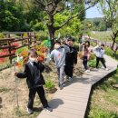 (23.05.02) 청주 동화초 "어버이날 감사한 마음 바람개비로 전해요" - 충북일보 이미지