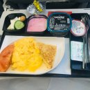 신공항동물병원 | 다시쓰는 2019 * 이두둥, 출국하다!