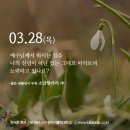 소금항아리