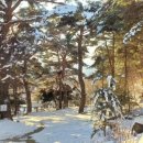 각화산민박 이미지