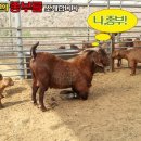 장요농장 이미지