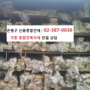 종합건재