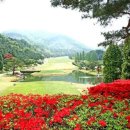 (주)신원그린 이미지