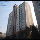 용인신릉초등학교 네이버블로그