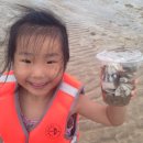 드보라 게스트하우스 이미지