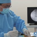 스마트폰, 인터넷 사용으로 급증하는‘목·허리’ 디스크 어떻게 고칠까 이미지