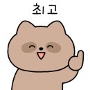 현 에스테틱 이미지